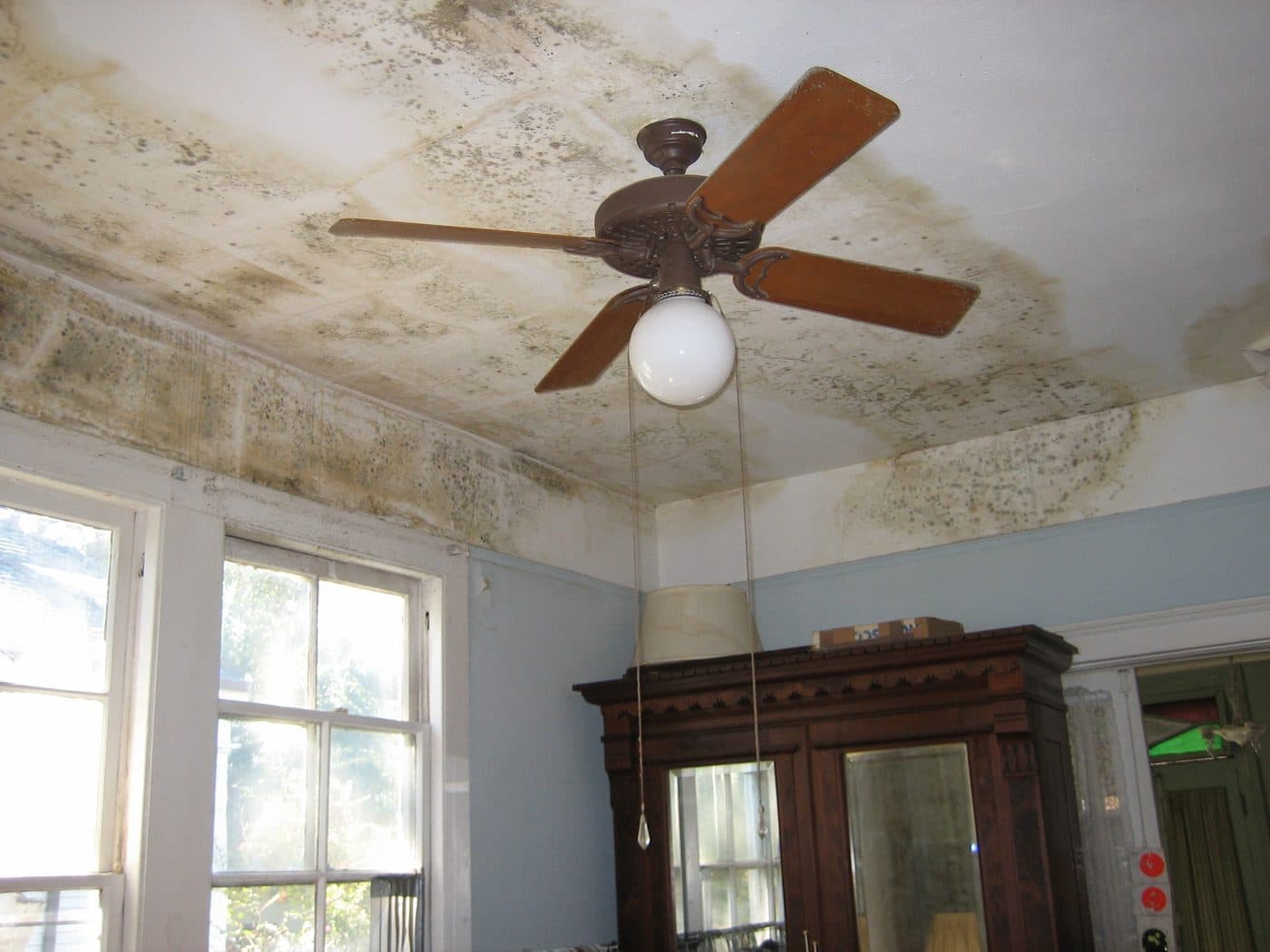 Teto de uma divisão com manchas castanhas e bolor em volta, resultantes de água vinda de cima